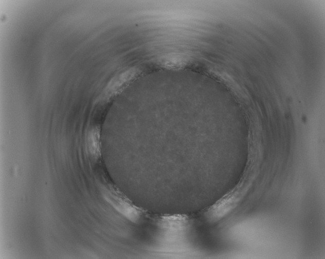 X0000063500240200601231445