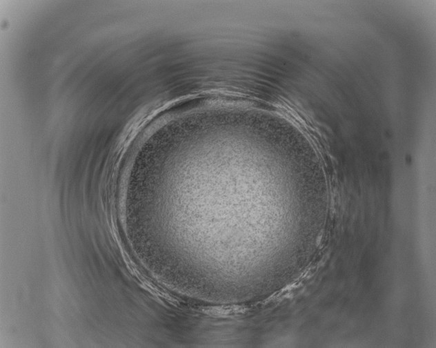 X0000063500241200601231444