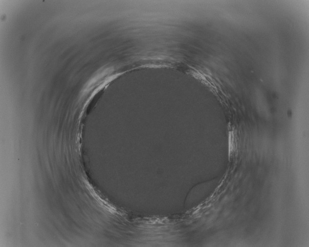 X0000063500243200601231444