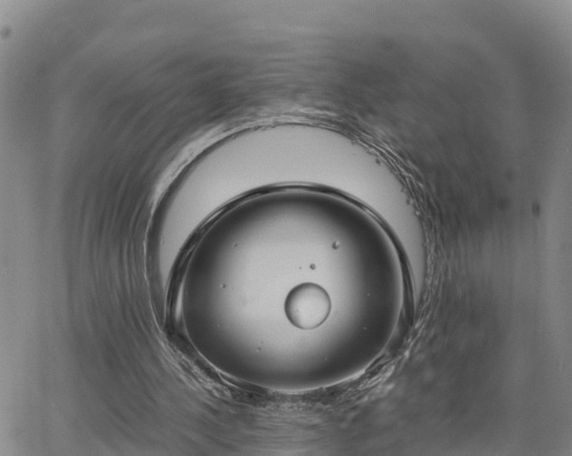 X0000063500244200601231444