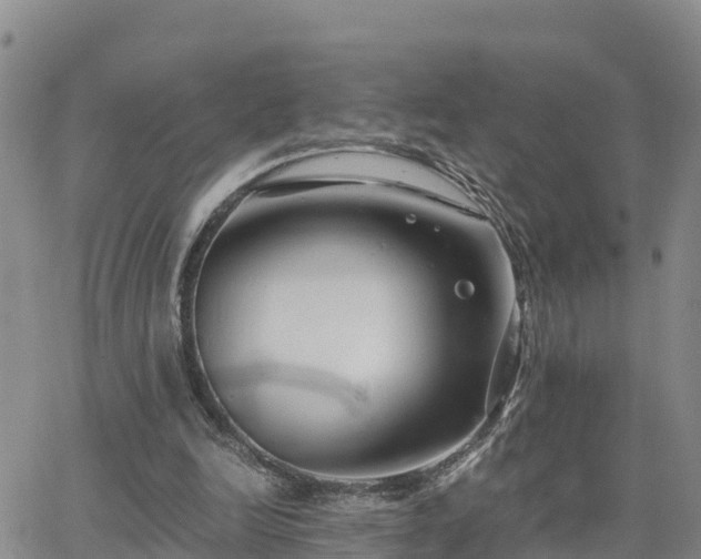 X0000063500246200601231444