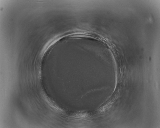 X0000063500247200601231444