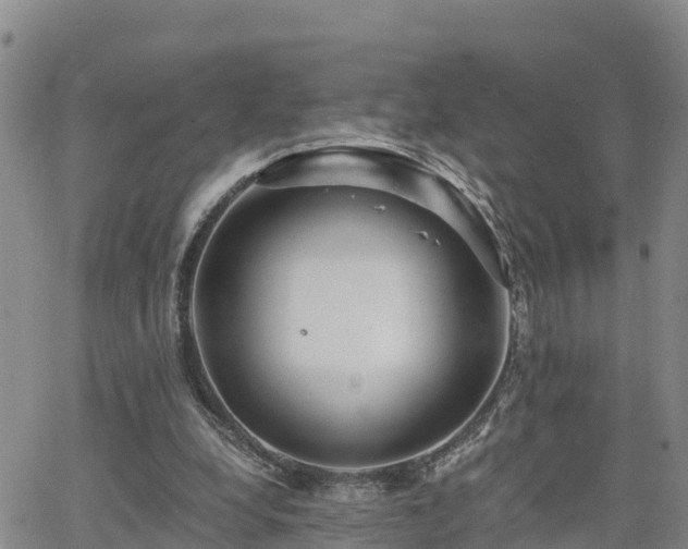 X0000063500248200601231444