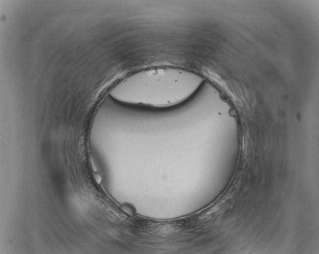 X0000063500249200601231444