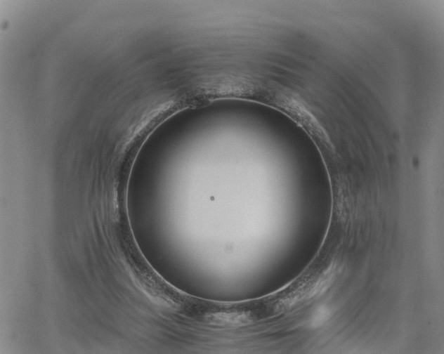 X0000063500251200601231444