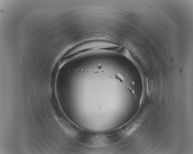 X0000063500252200601231444