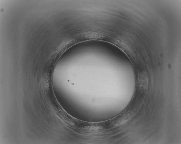 X0000063500255200601231444