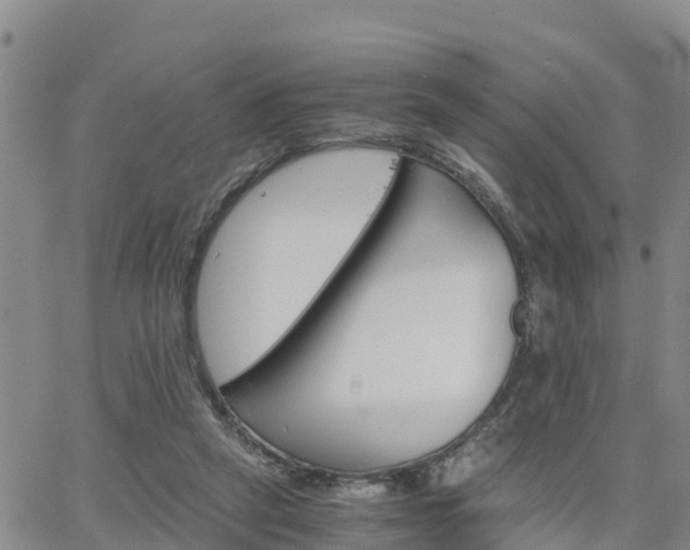 X0000063500257200601231444