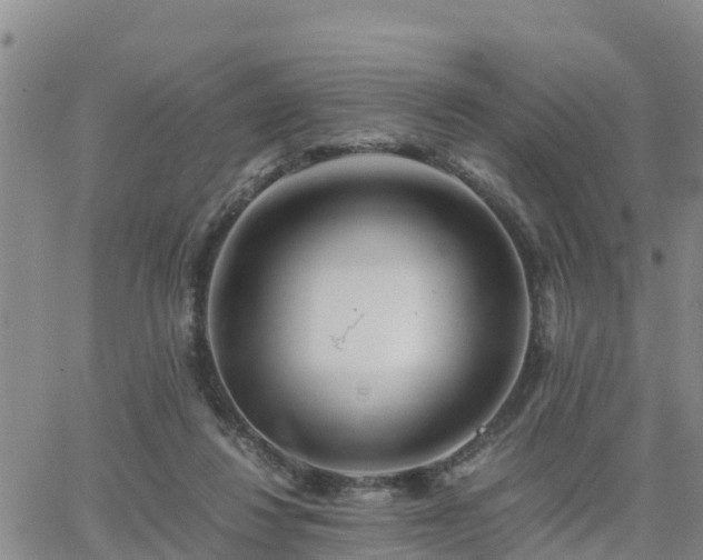 X0000063500260200601231444