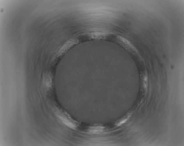 X0000063500266200601231444