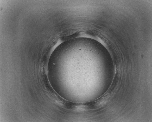 X0000063500268200601231444