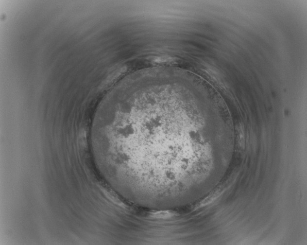 X0000063500269200601231444