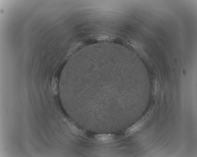 X0000063500273200601231445