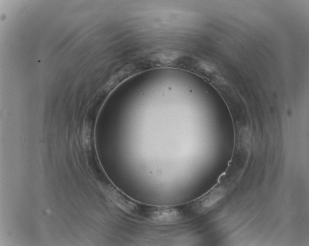 X0000063500274200601231445