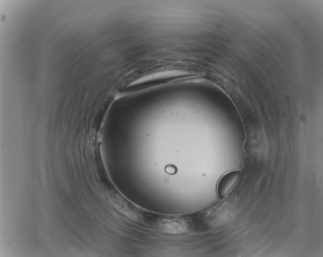 X0000063500275200601231445