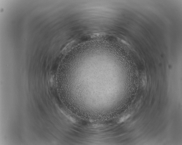 X0000063500276200601231445