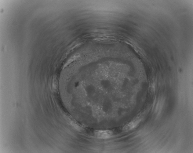 X0000063500277200601231445