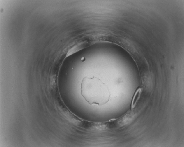 X0000063500278200601231445