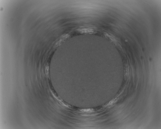 X0000063500281200601231445