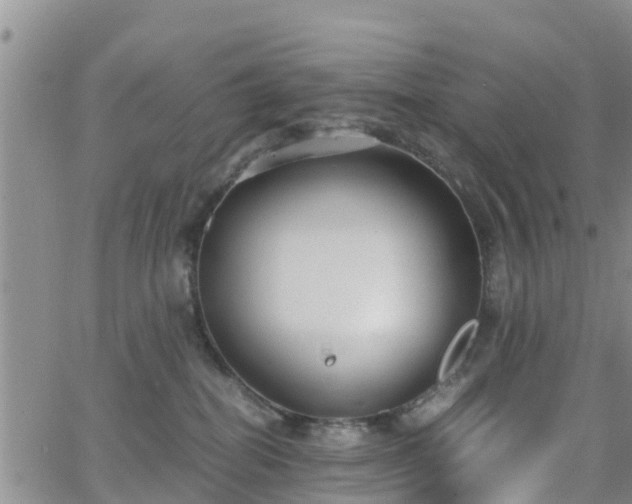 X0000063500282200601231445