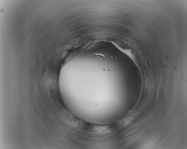 X0000063500283200601231445