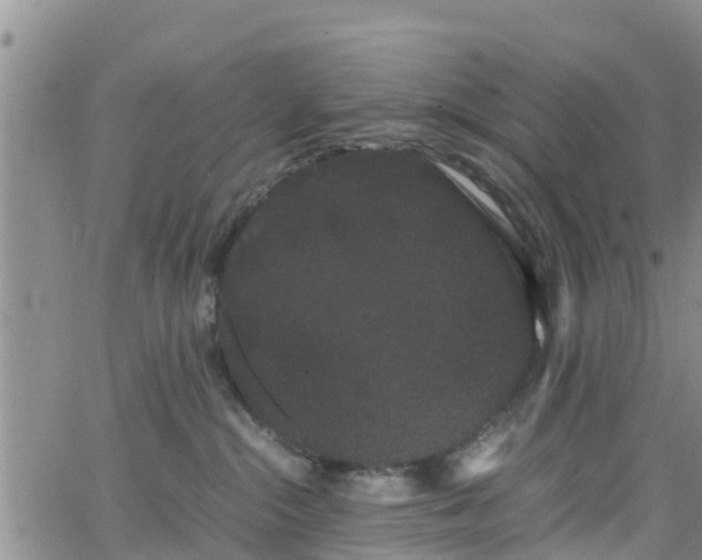 X0000063500284200601231445