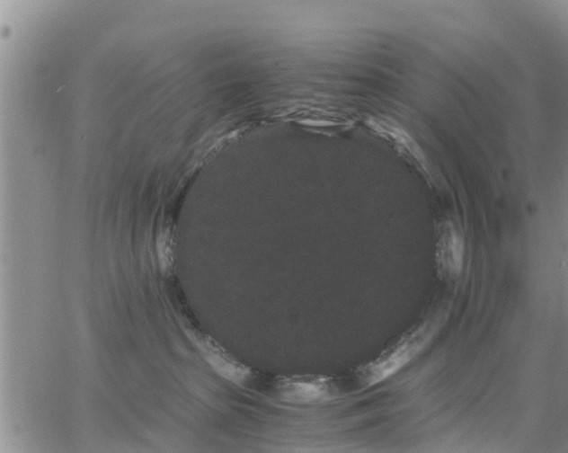 X0000063500285200601231445