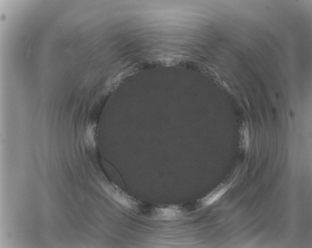 X0000063500286200601231445