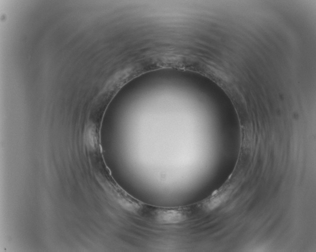 X0000063500287200601231445