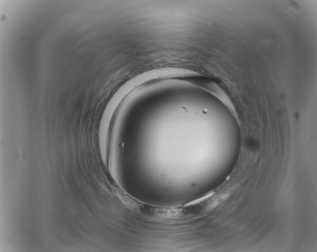 X0000063500288200601231445