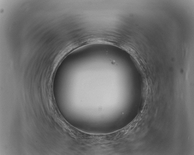 X0000063500289200601231444