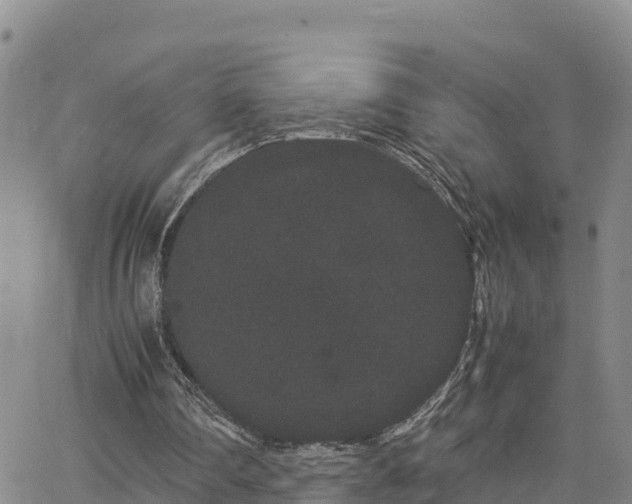 X0000063500290200601231444