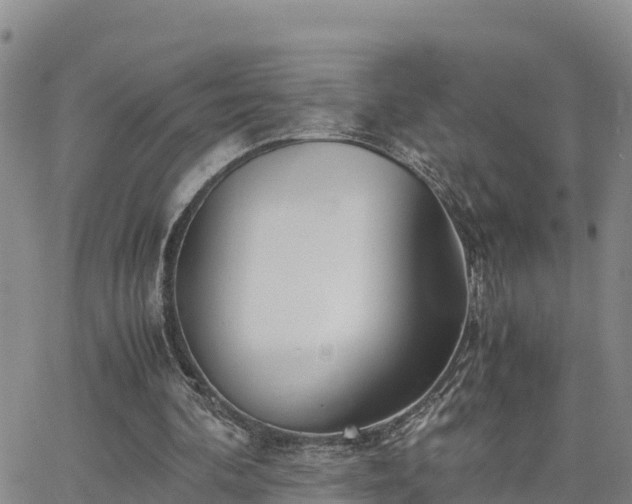 X0000063500292200601231444