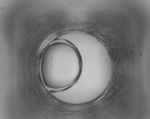 X0000063500293200601231444