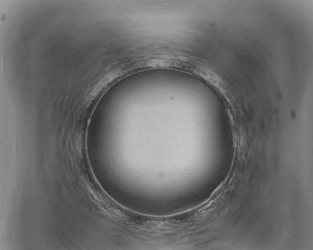 X0000063500297200601231444