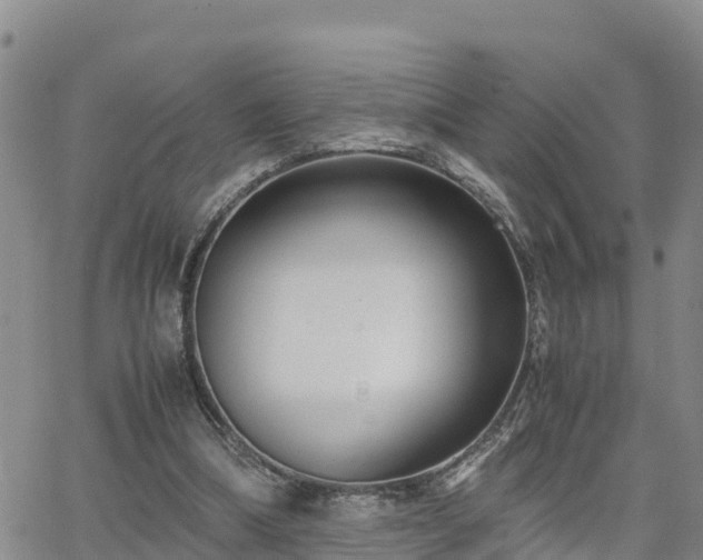 X0000063500298200601231444