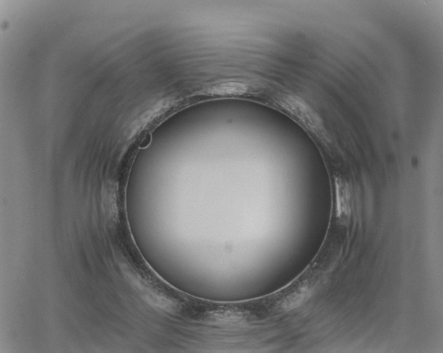 X0000063500300200601231444