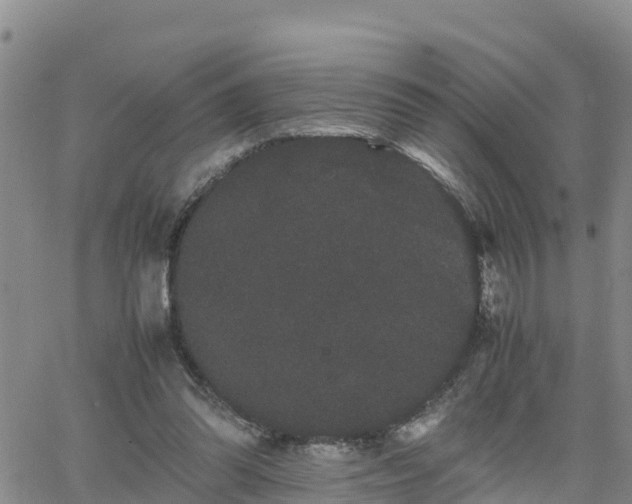 X0000063500302200601231444