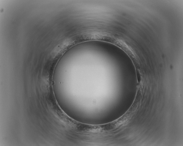 X0000063500306200601231444