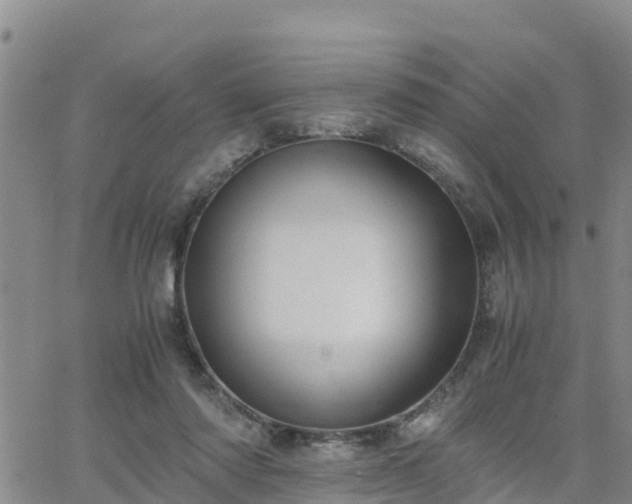 X0000063500310200601231444