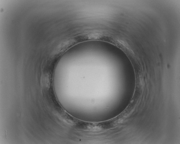 X0000063500311200601231444