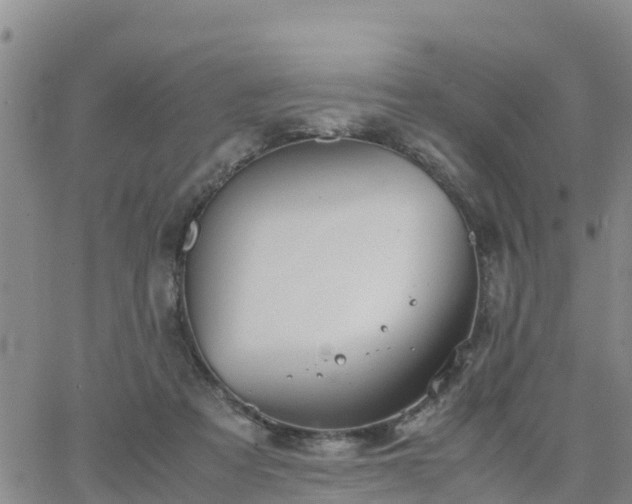 X0000063500313200601231444