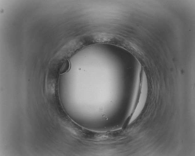 X0000063500315200601231444