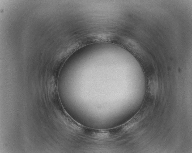 X0000063500318200601231444