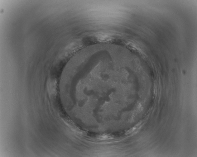 X0000063500319200601231443