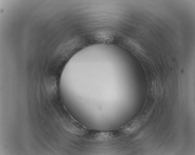 X0000063500320200601231443