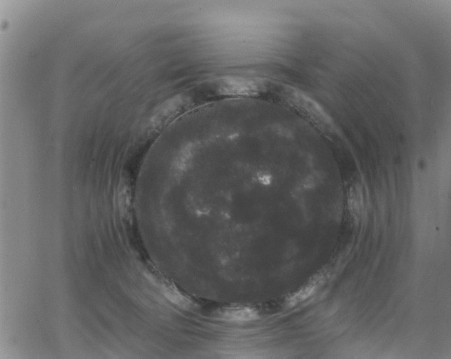 X0000063500322200601231443