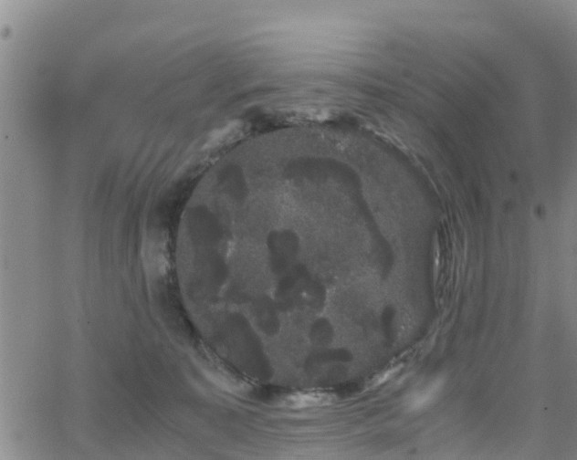 X0000063500323200601231443