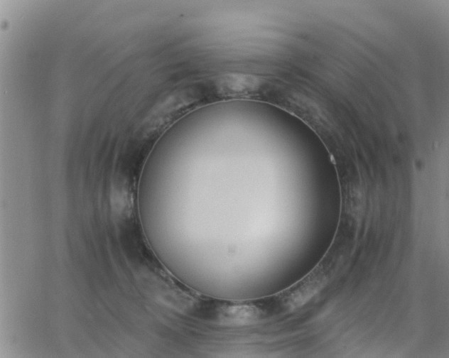 X0000063500324200601231443