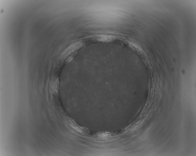 X0000063500325200601231443